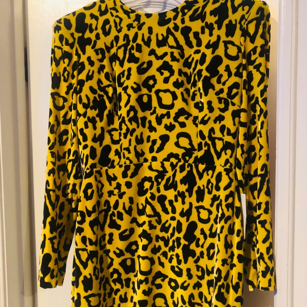 Alex Perry dress